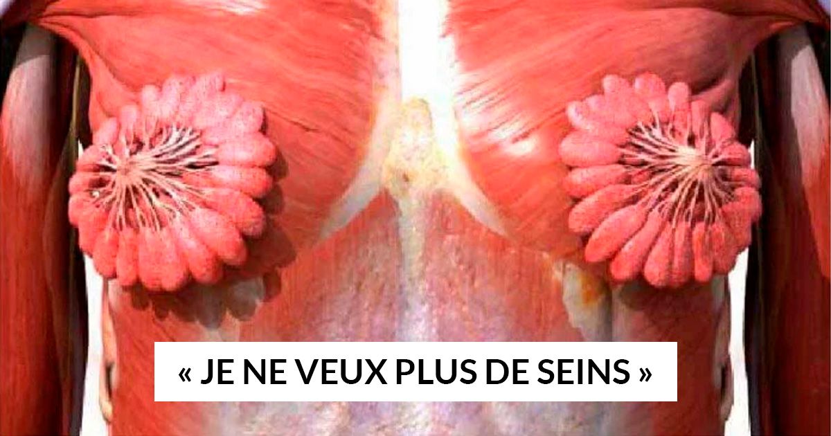 Photo du torse d'une femme présentant le sytème musculaire et les glandes mammaires
